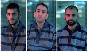 روایت قربانیان از لحظات رعب‌آور حضور سارقان مسلح در منازل/ ویدئو