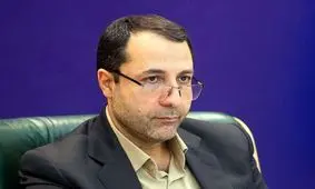 محدودیتی در ورود ارز به کشور وجود ندارد

