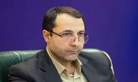 محدودیتی در ورود ارز به کشور وجود ندارد

