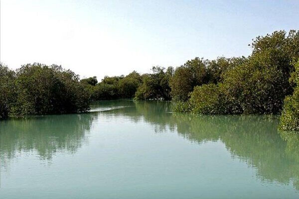 طرح نجات‌ بخشی تالاب نای‌ بند آغاز شد