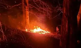 آتش‌سوزی در جنگل‌های آغوزبن رودبار/ ویدئو