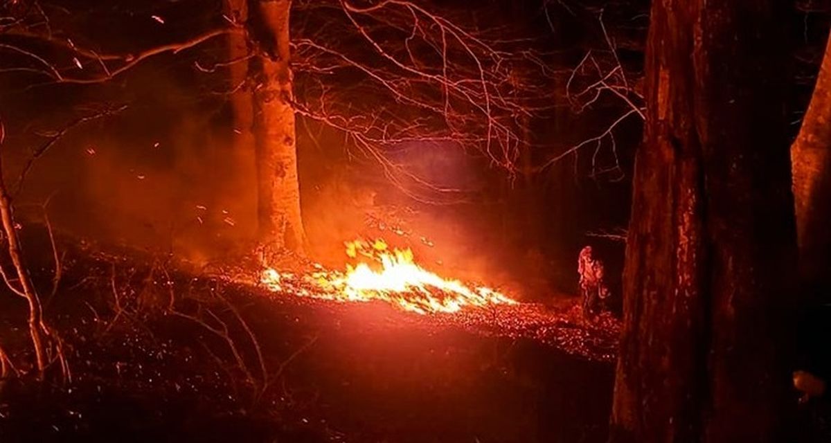آتش‌سوزی در جنگل‌های آغوزبن رودبار/ ویدئو