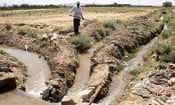 ۹۰ درصد آب استحصال شده صرف کشاورزی اشتباه می‌شود

