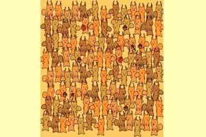 تست بینایی/ پیدا کردن موش میان سنجابها کمتر از  ۵ ثانیه