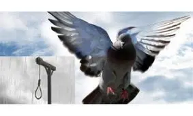 رضایت فرزندان، قاتل پدر را از چوبه دار نجات داد