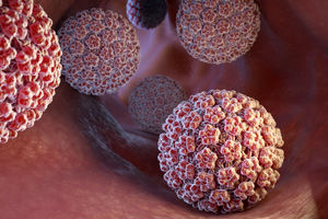 ۷ حقیقت در مورد HPV که نمی دانستید؛ از تاثیرگذاری بر مردان تا روش‌های کاهش خطر
