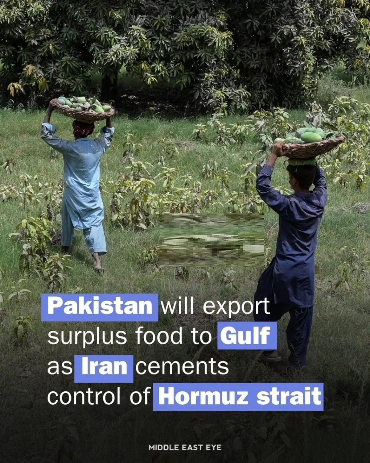 کنترل هرمز توسط ایران؛  پاکستان به‌دنبال صادرات اضطراری غذا به کشورهای خلیج فارس