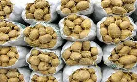 سیب زمینی گران می شود/ لزوم ممنوعیت فروش سیب زمینی به کارخانه ها