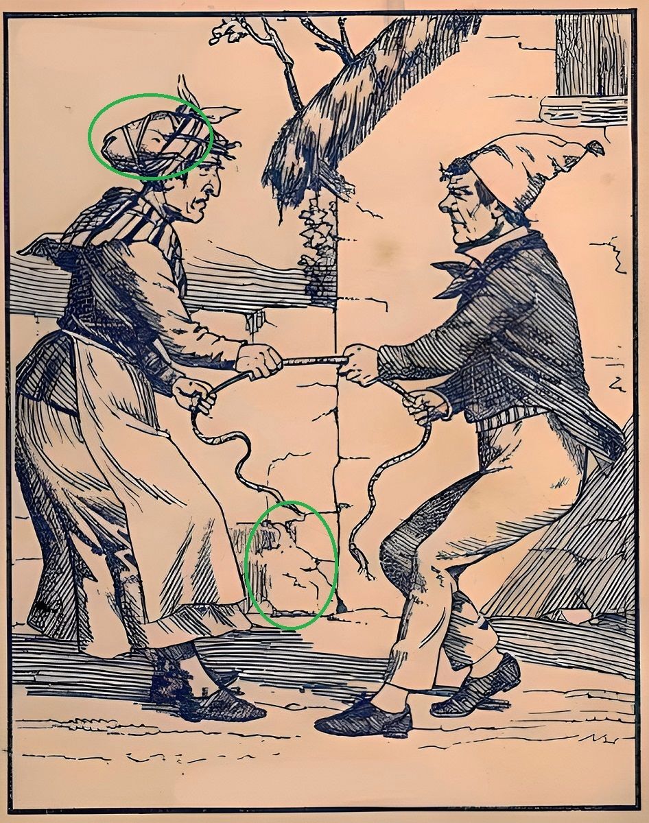 پاسخ تست هوش یافتن دو حیوان در تصویر