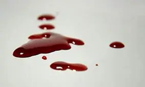 قتل ورزشکار بدنسازی در یاسوج