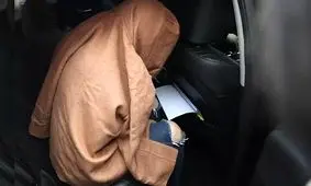 جسد دو کودک در چمدانی در نیوزیلند ؛ «مادر قاتل» در کره جنوبی دستگیر شد