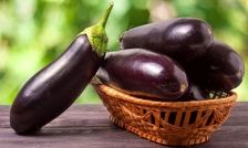 با مصرف این ماده غذایی از پیر مغزی جلوگیری کنید
