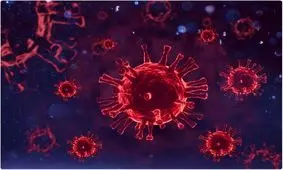 اثر امیدبخش یک داروی ضد انگل در مهار کووید-۱۹