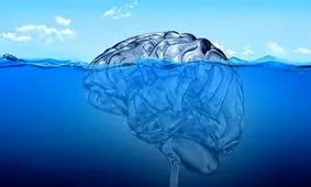 ضمیر ناخودآگاه خود را به چالش بکشید