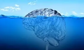 ضمیر ناخودآگاه خود را به چالش بکشید