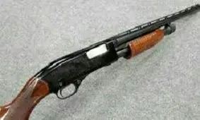 بخشش چوپان متهم به قتل به شرط ساخت چراگاه

