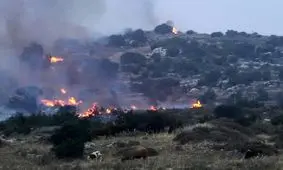 آتش‌سوزی‌های مجدد در نزدیکی قدس اشغالی

