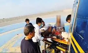 نجات معجزه‌آسای چوپان از حمله خرس سیاه 