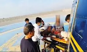 نجات معجزه‌آسای چوپان از حمله خرس سیاه 
