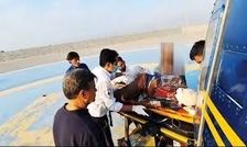 نجات معجزه‌آسای چوپان از حمله خرس سیاه 