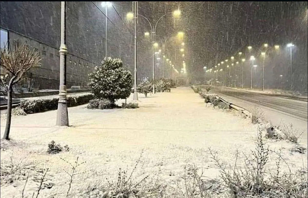بارش شدید برف در جاده چالوس/ ویدئو