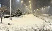 بارش شدید برف در جاده چالوس/ ویدئو