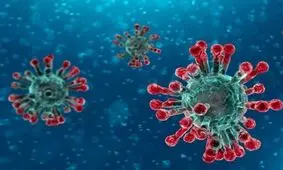 تست کرونای ۴۸ دانش‌آموز قمی مثبت شد
