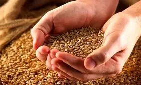 افزایش ۲۵ درصدی پرداخت زکات