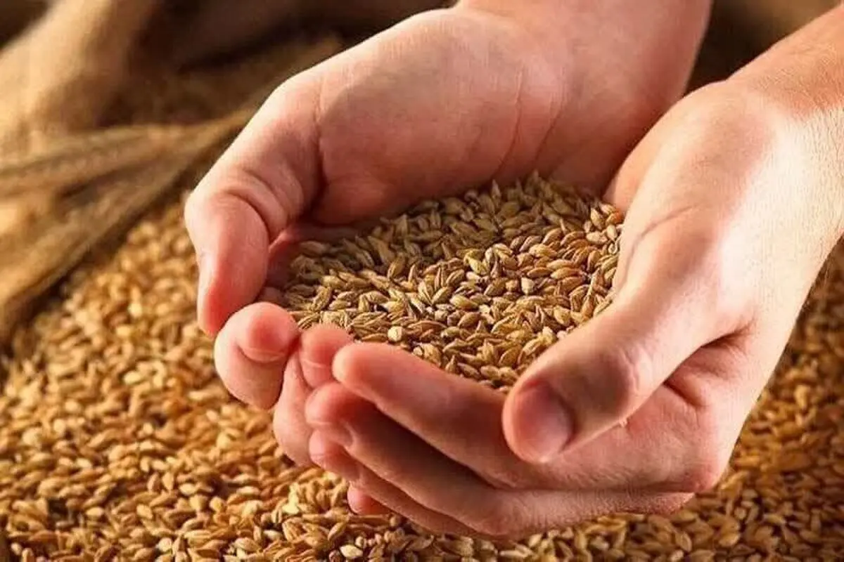 افزایش ۲۵ درصدی پرداخت زکات