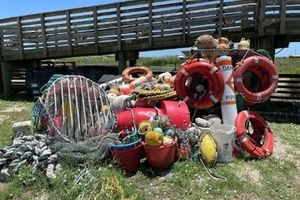 فروش زباله‌های دریایی در یک حراجی