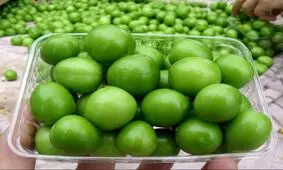گوجه سبز آنالیا در بازار تجریش/ ۵۰ درصد گوجه ایرانی را سرما زد