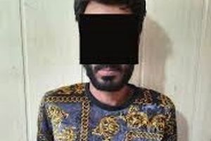 جغد شوم باغ ویلاها ،آواز زندان خواند