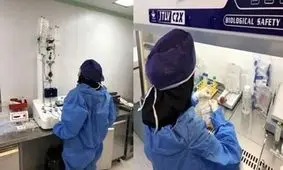 فرآوری سلول‌های ایمنی و خونی برای درمان سرطان