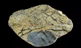 کشف اتفاقی در اعماق اقیانوس شناخت دانشمندان را از زمین تغییر داد

