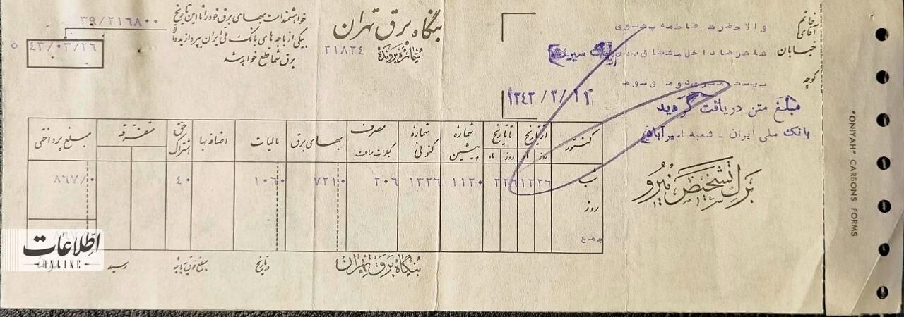 یک گربه، برق تهران را قطع کرد