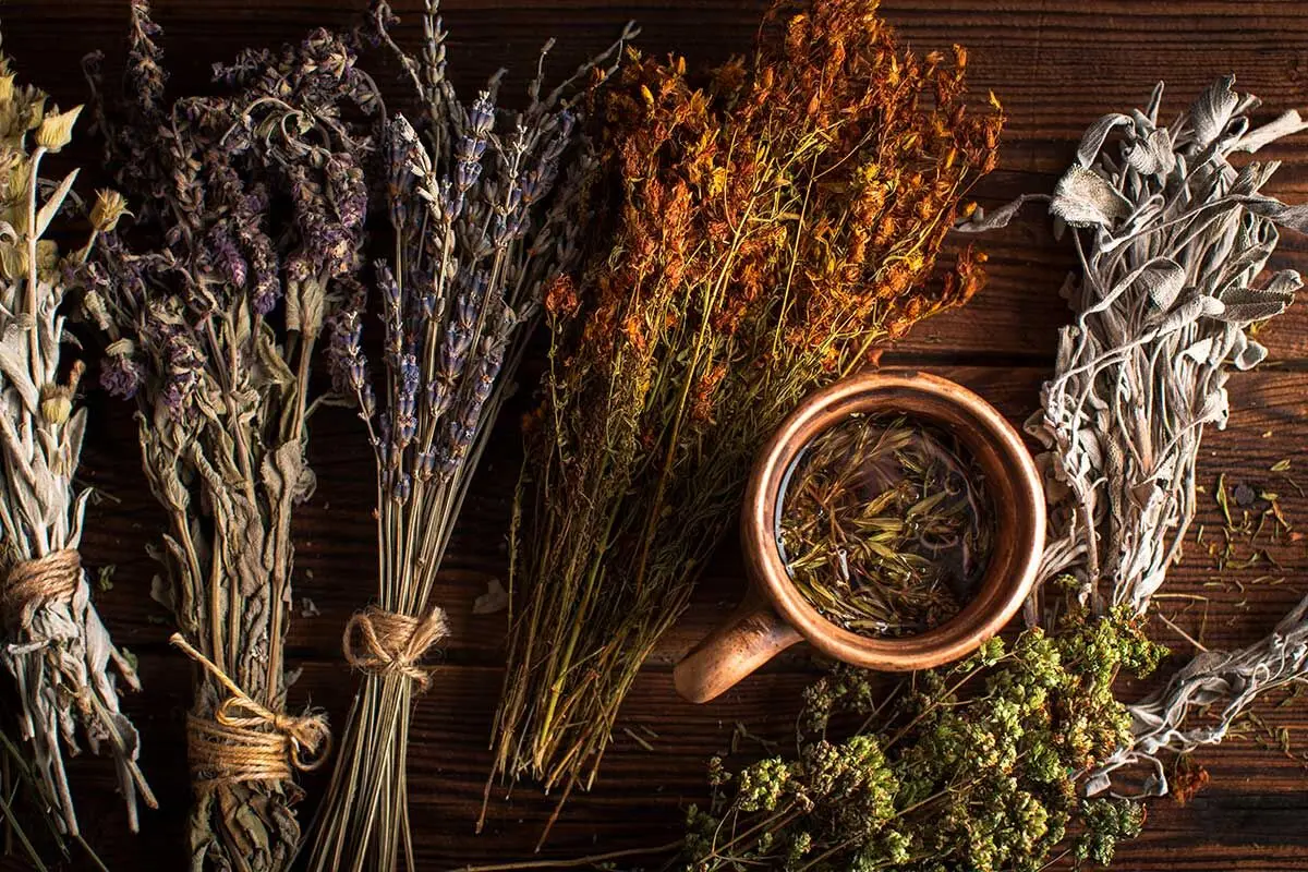 خواص عرق بیدمشک برای تندرستی