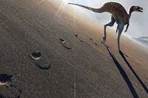 گونه جدیدی از دایناسورها کشف شد