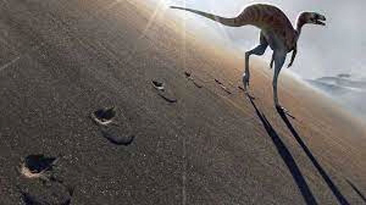 گونه جدیدی از دایناسورها کشف شد