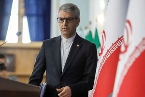 ایران آماده است سطح غنای اورانیوم را به ۳.۶۷ درصد کاهش دهد/ مجلس خروج از NPT را تصویب کند، نمی‌توانیم مانع شویم/ حق غنی‌سازی داخل ایران باید حفظ شود

