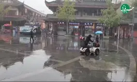 آموزش رانندگی با ماشین برقی به سگ/ویدیو