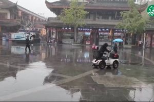 آموزش رانندگی با ماشین برقی به سگ/ویدیو