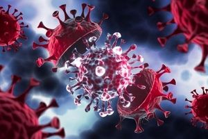 وزیکول‌ها به مقابله با عفونت‌های ویروسی آمدند

