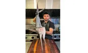 هنر نمایی اشکان صادقی آشپز جوان ایرانی در شبکه های اجتماعی ترند شد/ ویدئو