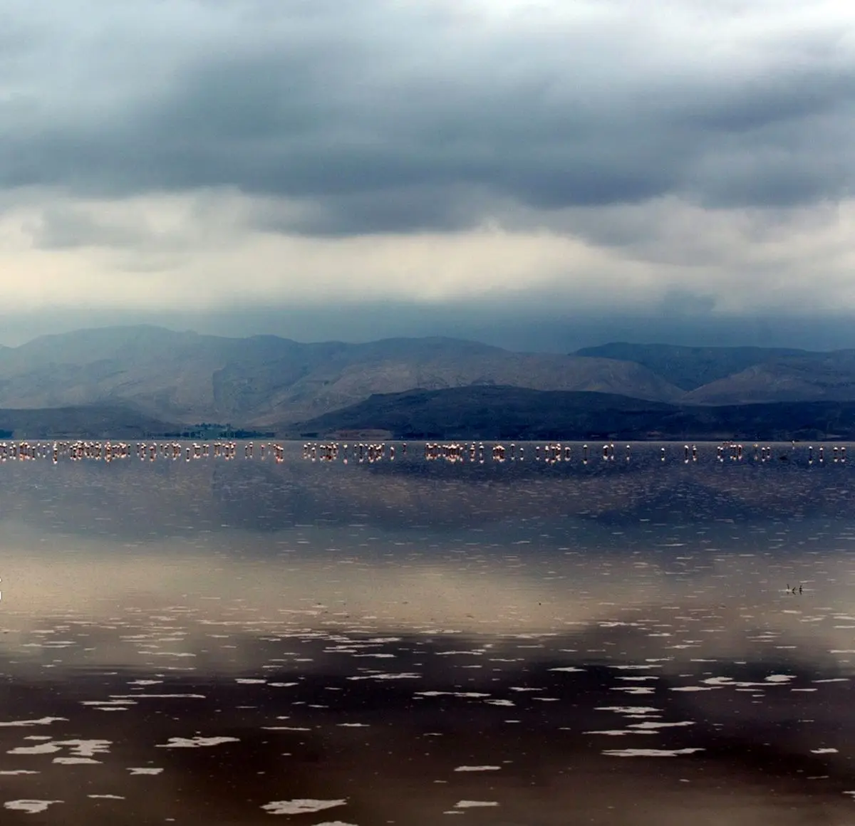 پیش‌بینی بارش‌های ۵۰ تا ۷۵ میلی‌متری در شمال، غرب و شرق کشور