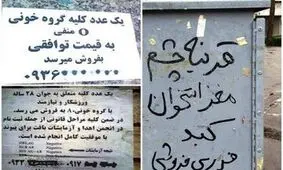 عراقی ها خریدار «کلیه» ایرانیان به قیمت دلار!