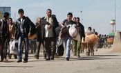 فرمانده فراجا: اتباع غیرمجاز شناسایی، دستگیر و از کشور طرد می شوند