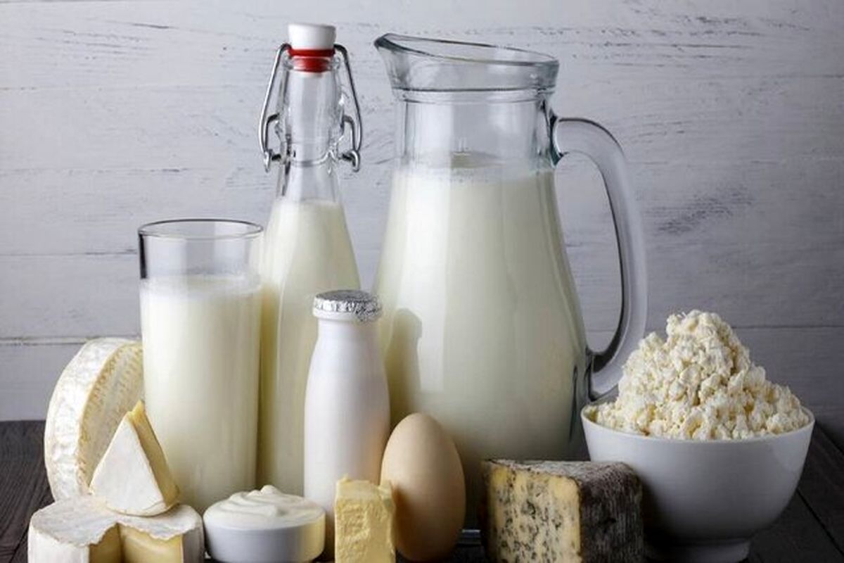 مصرف لبنیات نصف مقدار توصیه شده است