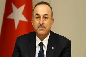ارجاع جالب وزیر خارجه ترکیه به سهراب سپهری/ ویدئو