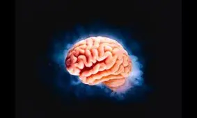 نقش کلسترول در عملکرد مغز چیست؟