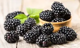 شهر شاتوت ایران کجاست؟